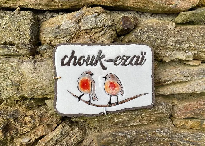 Chouk-Ezai Cote Sauvage De L\'Ile